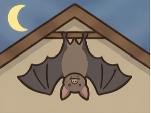 コウモリ